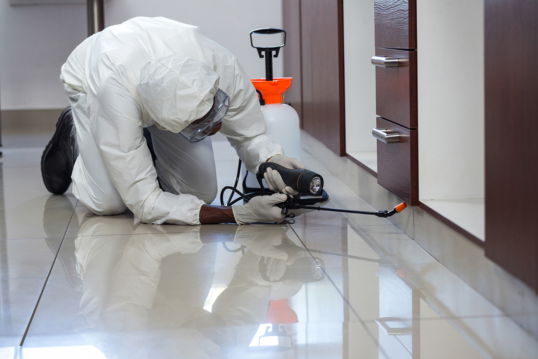residential pest control services Galleria CA